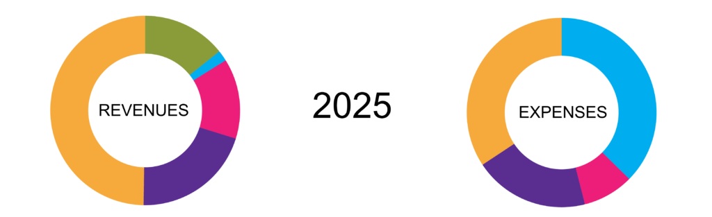 2025 Revenues and Expenses - data and percentages can be found in page text.