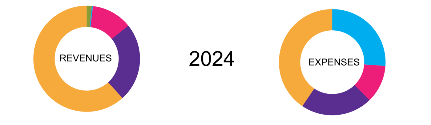 2024 Revenues and Expenses - data and percentages can be found in page text.