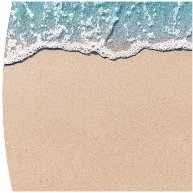 Beach with a gentle wave coming in.